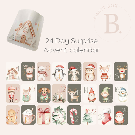 24 Day Surprise Advent Calendar