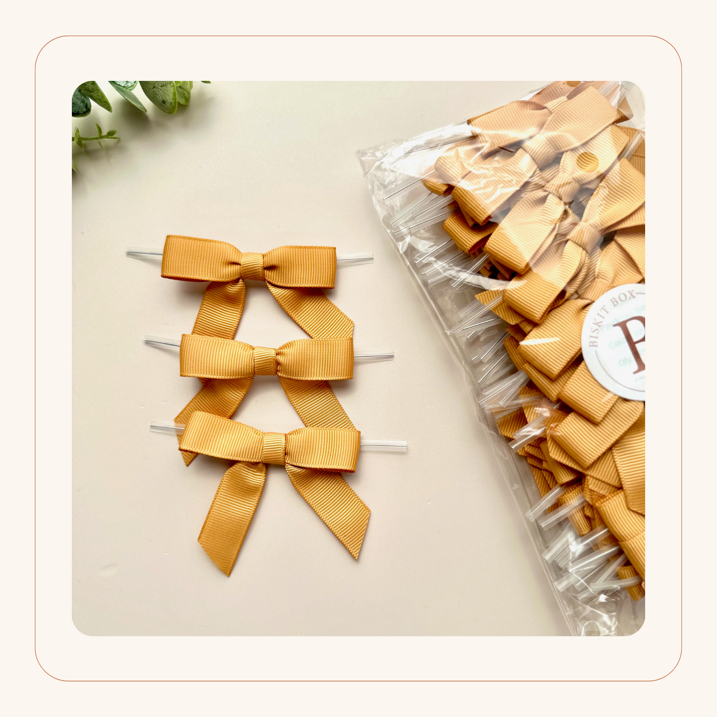 Pre-tied Bows - 50pk