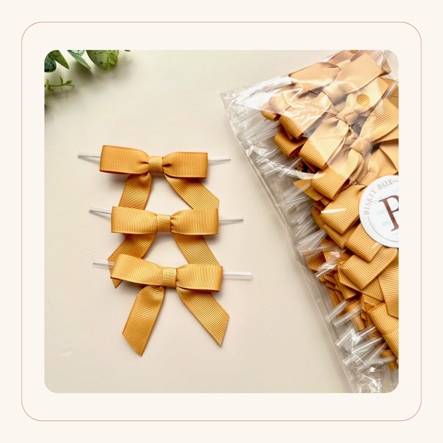 CREAM 90mm Large Ribbon Bows (Pack of 6)